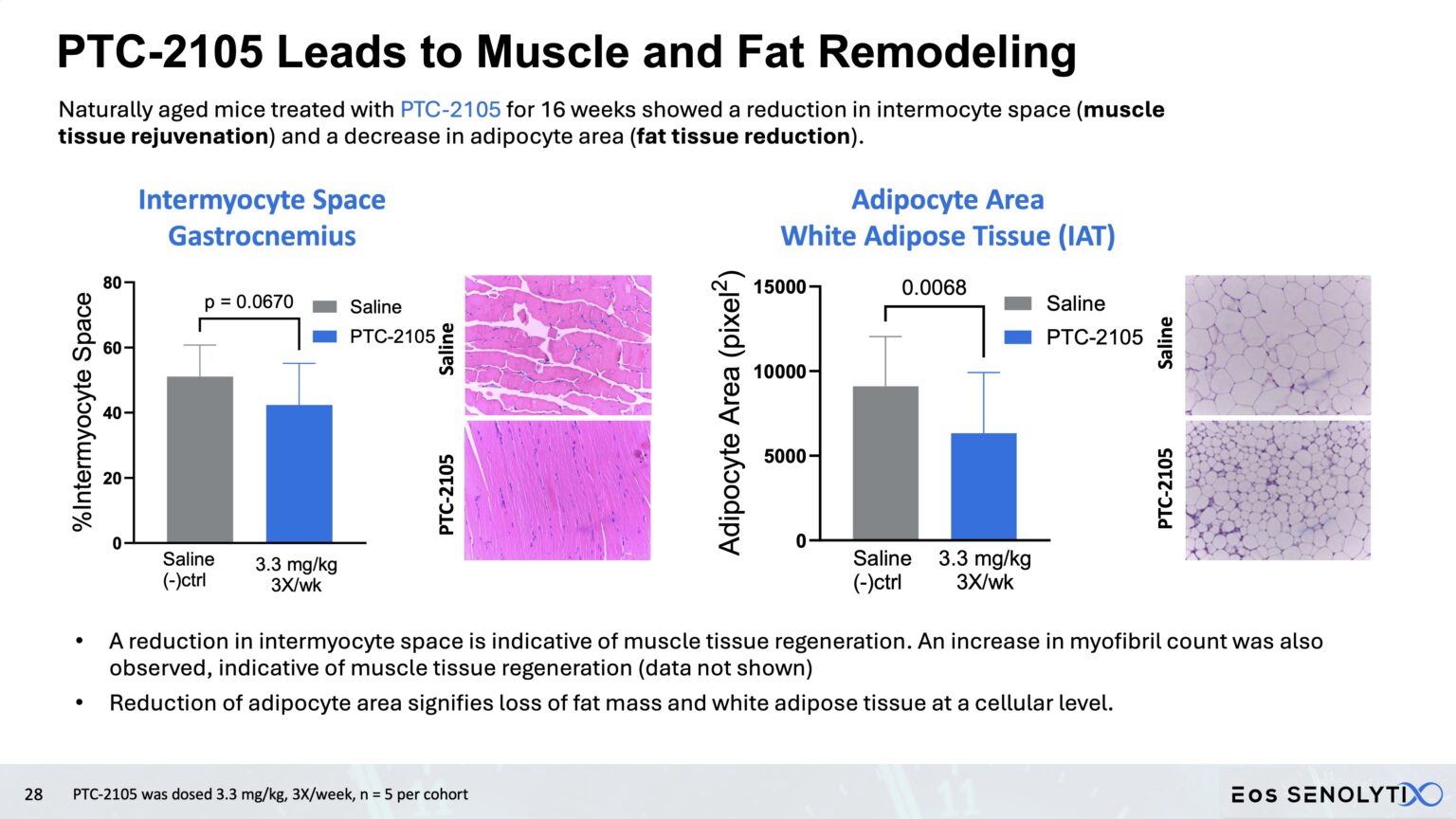 PTC-2105 muscle and fat remodeling