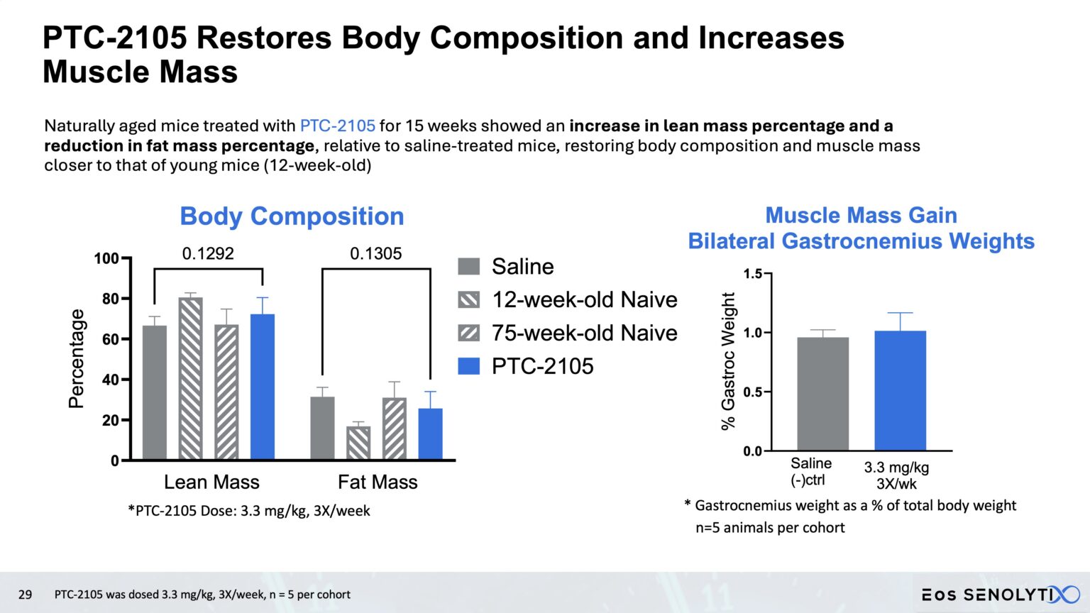 PTC-2105 restores body composition gastrocnemius weights
