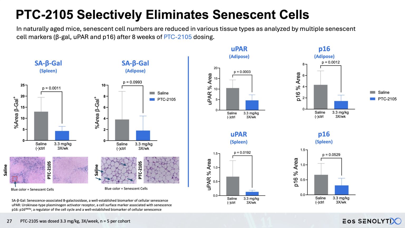 PTC-2105 selectively eliminates senescent cells