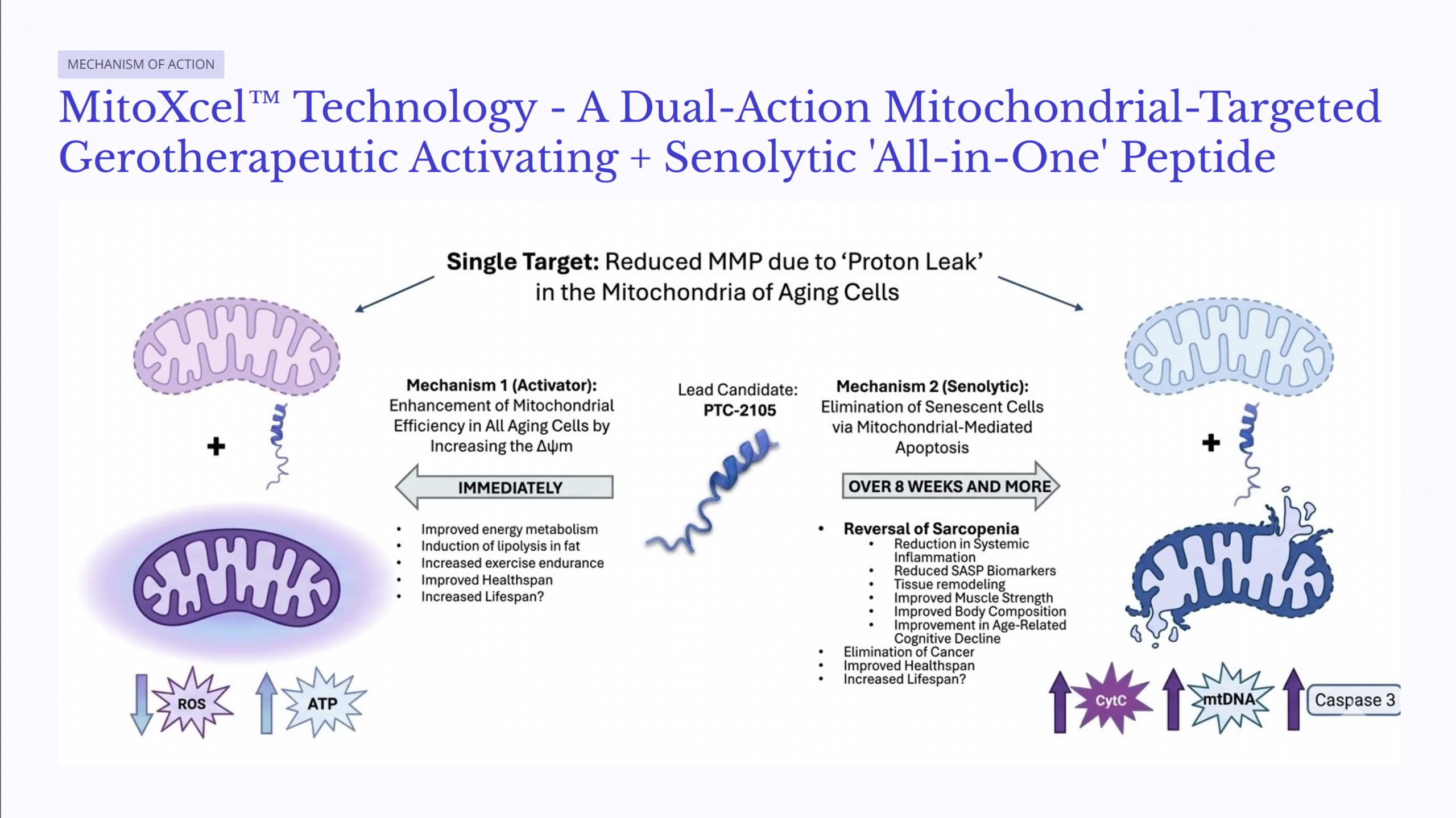 MitoXcel Technology dual-action mechanism of action